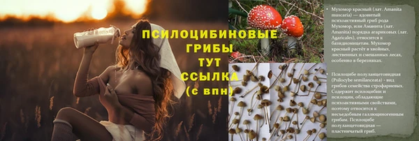 а пвп мука Аркадак