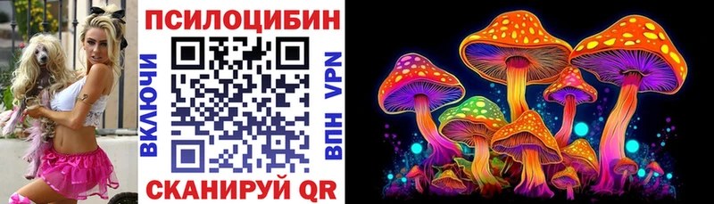 KRAKEN зеркало магазин продажи Мураши Галлюциногенные грибы Magic Shrooms
